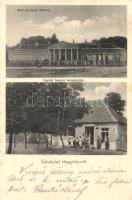 Hegyfalu, Báró Gerliczy kastély, Herold Sándor kereskedése  (EK)