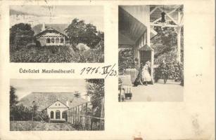 Mezőméhes, Mihesu de Campie; Sófalvi Illyés Albert udvarháza / villa (EK)