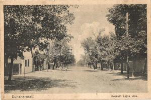 Dunaharaszti, Kossuth Lajos utca