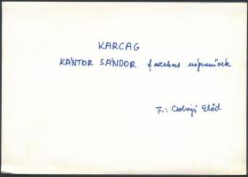 Csobaji Előd (?-?): Kántor Sándor (1894-1989) karcagi fazekasmester munka közben, fotó, hátulján fel...