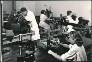 cca 1970 Hosszmérő laboratórium, Országos Mérésügyi Intézet, fotó, hátulján feliratozva, 10,5×15 cm