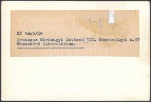 cca 1970 Hosszmérő laboratórium, Országos Mérésügyi Intézet, fotó, hátulján feliratozva, 10,5×15 cm
