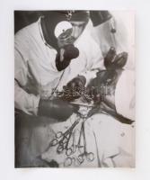 2 db műtéti fotó, utólagos nagyítások, hátuljukon feliratozva, 24×30,5 ill. 30,5×24 cm