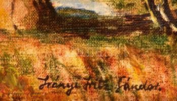 Irányi jelzéssel: Balaton. Olaj, vászon, keretben, 40×50 cm