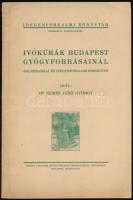 Dr. Nemes Jenő György: Ivókúrák Budapest gyógyforrásainál. Balneológiai és idegenforgalmi ismertető. Budapest, Idegenforgalmi könyvtár, 42 p. Papírkötés, jó állapotban