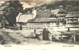 Brassó, Brasov, Kronstadt; híd / Podul Cretului / bridge (fl)