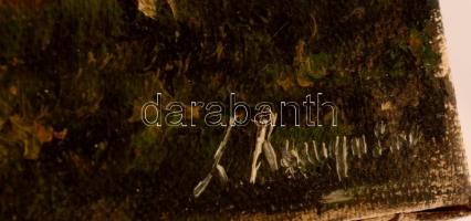 Olvashatatlan jelzéssel: Ház a tóparton, olaj, vászon, sérült, 24,5×18,5 cm