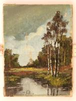 Olvashatatlan jelzéssel: Tóparton, olaj, vászon, sérült, 24,5×18,5 cm