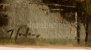 Olvashatatlan jelzéssel: Tóparton, olaj, vászon, sérült, 24,5×18,5 cm