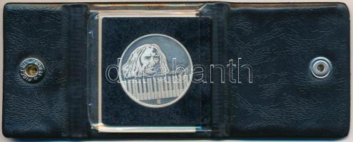 Fülöp Zoltán (1951-) 1986. "175 éve született Doborjánban  Liszt Ferenc - 100 éve nyugszik a ba...