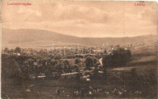 Ladomérvágása, Ladomirová; Látkép, kiadja Divald Károly fia / general view (fa)