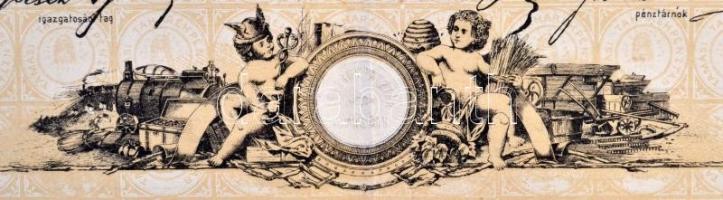 Tamási 1897. "A Tamási Takarékpénztár" részvénye 100K-ról szárazpecséttel, felülbélyegzéss...