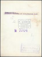 cca 1940 Amerikai női divatfotó, Winterfeld műterméből, hátoldalon a Szántó F. Műszaki és Sajtófotó ...