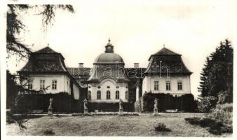 Gernyeszeg, Gornesti; Teleki kastély / castle