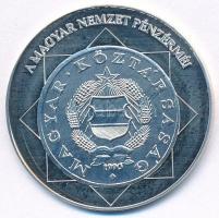 DN "A magyar nemzet pénzérméi - A rendszerváltás téves verete 1989-1990" Ag emlékérem tanú...