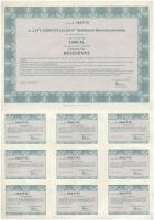 Budapest 1996. "A City Kárpótlási Jegy Befektető Részvénytársaság" 1000Ft értékű részvénye...