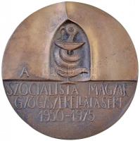 Ligeti Erika (1934-) 1975. A Szocialista Magyar Gyógyszerellátásért 1950-1975 Br öntőminta (97mm) T:1-,2