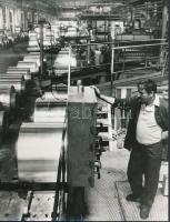 cca 1981 Székesfehérvár, Könnyűfémmű, 3 db vintage fotó a gyárból, 17x23 cm