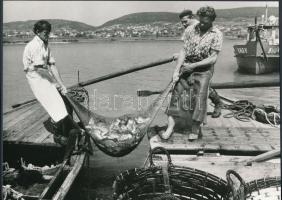 ca 1979 Csopak, Balatoni halászok, vintage fotó, 17x23,5 cm
