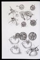 Muhari-Papp Sándor Balázs - Csókay András: Művészet és idegsebészet együtt a hitben. / Art and Neuro...