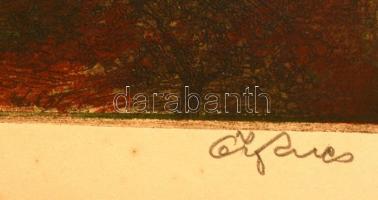 Ősz Dénes(1915-1980): Budapesti látkép. Színezett rézkarc, papír,  29×39 cm