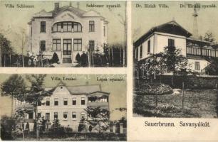 Savanyúkút, Sauerbrunn; Schlosser, Lujza és Dr. Eirich nyaraló / villas (EK)