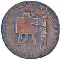 DN "A szocialista nevelésért - 25 év" Br emlékplakett. Szign.: V.M. (248g/94mm) T:2