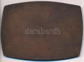 Renner Kálmán (1927-1994) 1970. "III. Soproni Temperöntési és Mintakészítési Napok" bronzo...