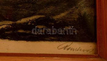 Paulovits Pál (1892-1975): Erdős oldal. Rézkarc, papír, jelzett, körbevágva, üvegezett keretben,  25...