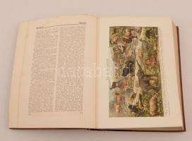A Franklin Kézi Lexikona I-III. Bp., 1911-12. Franklin Társulat. Kiadói szecessziós, aranyozott félb...