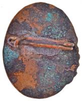 DN "Fejért Megye Természetjárója" zománcozott fém jelvény (17x21mm) T:2 zománchiba, patina