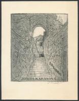 3 db csehszlovák ex libris, kül. mélynyomás, papír (Jan Jakub Paroubek, Cyril Bouda, Ladislav Vlodek...