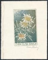 Ctibor Stastny (1884 - 1962): Ex Libris, z kniha Elna - Erik. Rézkarc-aquatinta, papír, jelzett, 7.5×4.5 cm
