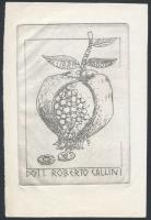 P. L. Gerosa (?-?): Numizmatikai Ex Libris, Dott. Roberto Callini. Rézkarc, papír, jelzett a nyomaton, 6.5×5.5 cm