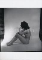 cca 1977 Sárika modell szeretne lenni, 3 db finoman erotikus fénykép, korabeli vintage negatívokról ...