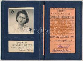 1949 Országgyűlési képviselő bérlet-jegy Petrovics Jánosné részére kiállítva, 12x8cm