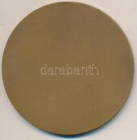 1970. "Eredményes propaganda munkáért" Br emlékplakett tokban (70mm) T:2