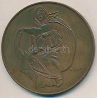 Kiss Kovács Gyula (1922-1984) DN "Michelangelo" Br emlékérem ÁPV plasztiktokban tájékoztat...