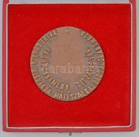 1995-1996. "Vándorlegény Nemzetközi Szakmai Verseny - Kárpátok Eurorégió" Br emlékplakett ...