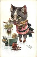 Cat, toys, T. S. N. Serie 1730 (6. Dess.) s: Arthur Thiele