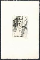 Gyarmati Lea (1938-): Ex libris. Rézkarc, papír, jelzett, 7×5 cm