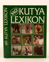 Dr. Szinák János, Veress István, Dr. Sárkány Pál: Nagy Kutylexikon. Budapest, 1995, Dunakanyar 2000. Kiadói kemény papírkötés. Jó állapotban.
