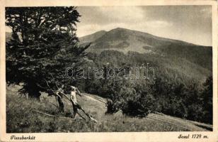 Tiszaborkút, Kvaszi; Sesul hegy / mountain (ázott sarok / wet corner)