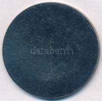 1989. "Fogathajtó Világbajnokság - Balatonfenyves" ezüstözött fém emlékérem (42,5mm) T:2
