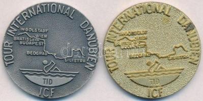 DN "Magyar Természetbarát Szövetség / Nemzetközi Duna Túra" ezüstözött fém emlékérem (42,5...