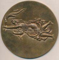 1970. "A Szocialista Igazságügy Szolgálatáért 1945-1970" Br emlékplakett, hátoldalon graví...