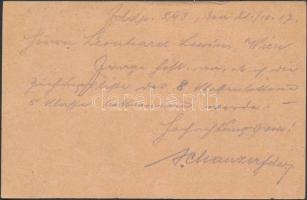 Austria-Hungary Field postcard &quot;K.u.k. 11/56 Komp...&quot; + &quot;FP 293&quot;...