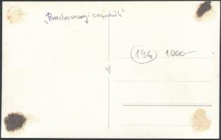 Badacsonyi bazaltorgonák, fotólap, hátulján feliratozva, 8,5×13,5 cm