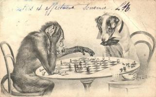 Monkey and dog playing chess, humour, s: Anders (b)