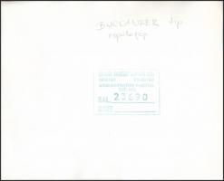 3 db katonai repülőgép fotó (Harrier, Blackburn Buccaneer, JA 37 Viggen), kettő kartonra ragasztva, ...